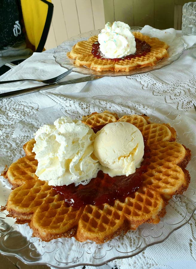 Handmade вафли с вареньем поленики, взбитой сливк и ванильным мороженым стоковые фотографии rf Handmade вафли с вареньем поленики, взбитой сливк и ванильным мороженым стоковые фотографии rf