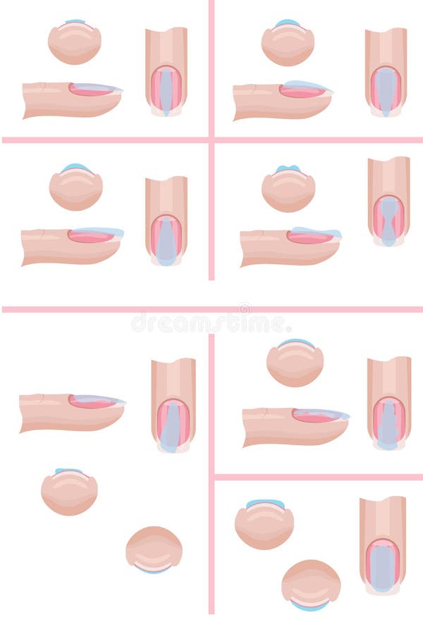 Hand nail care. The technique of applying the base layer of manicure, mistakes. Illustration for the manicure guide. Hand nail care. The technique of applying the base layer of manicure, mistakes. Illustration for the manicure guide.