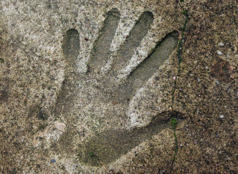 Handprints in Cement stock photo. Image of handprint - 22520638