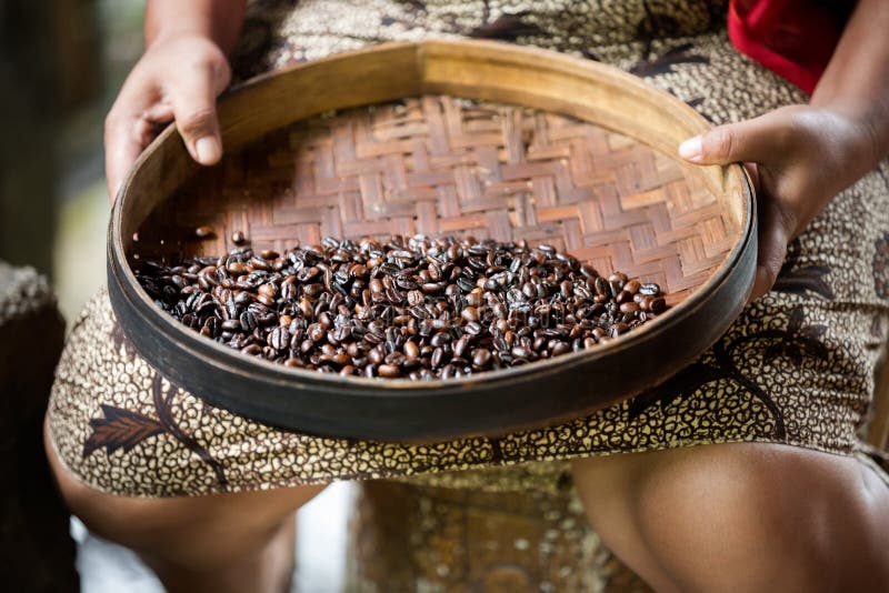 Handproductie van de koffie van Kopi luwak royalty-vrije stock afbeelding Handproductie van de koffie van Kopi luwak royalty-vrije stock afbeelding