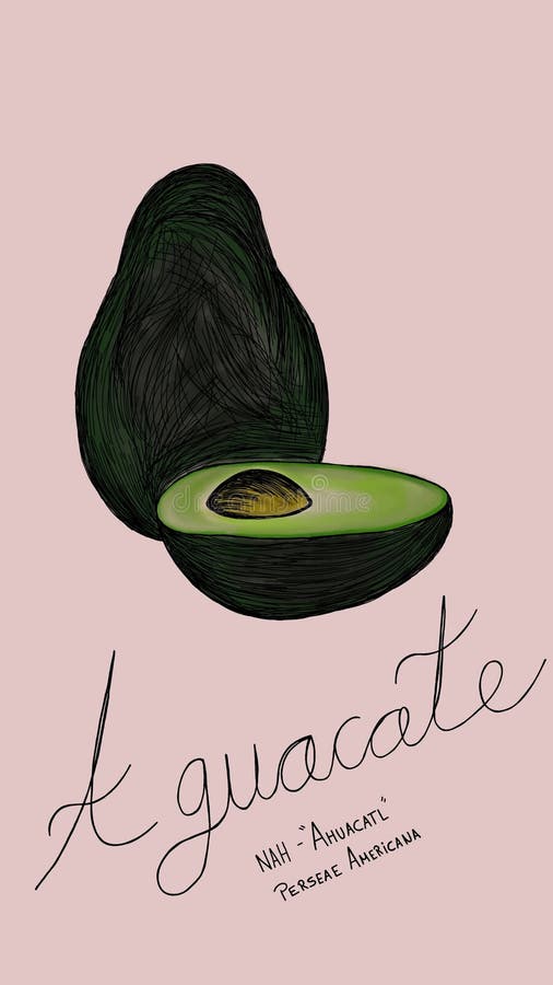 Handritad illustration av en mogen avokado på en mjuk, jordnära bakgrund som visar dess krämbildstext och rika gröna nyanser. vektor illustrationer
