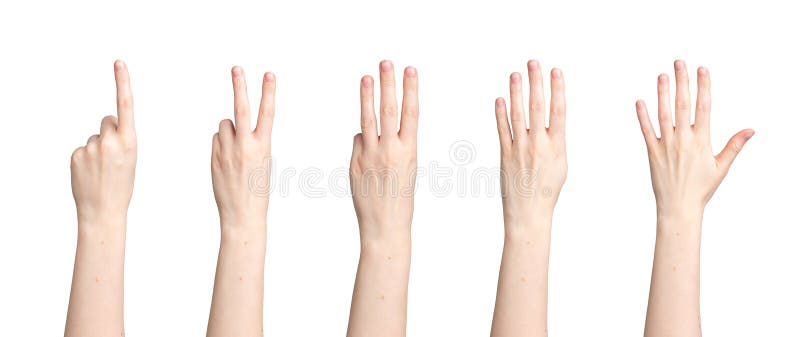 Hand counting, fingers showing digits, numbers from one to five, isolated on white background. Hand counting, fingers showing digits, numbers from one to five, isolated on white background.