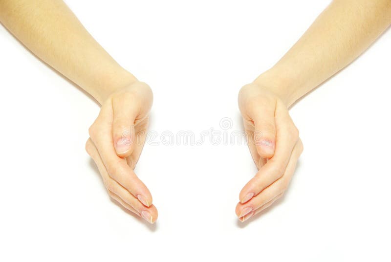 Woman Hands Isolated in White Background Stock Photo Image of healthy, holding 5292636