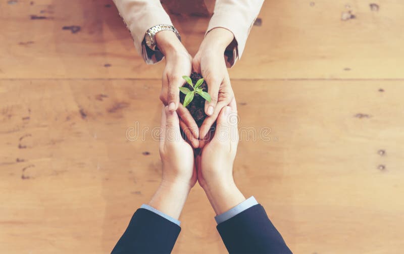 Hands adult business Team Work harmony Cupping young Plant and seeding Nurture grow Environmental and reduce global warming help e royalty free stock photos Hands adult business Team Work harmony Cupping young Plant and seeding Nurture grow Environmental and reduce global warming help e royalty free stock photos