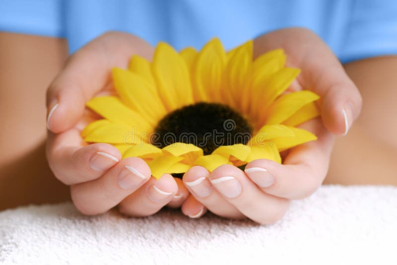 Download Hands den din naturen fotografering för bildbyråer. Bild av kvinnor - 43301