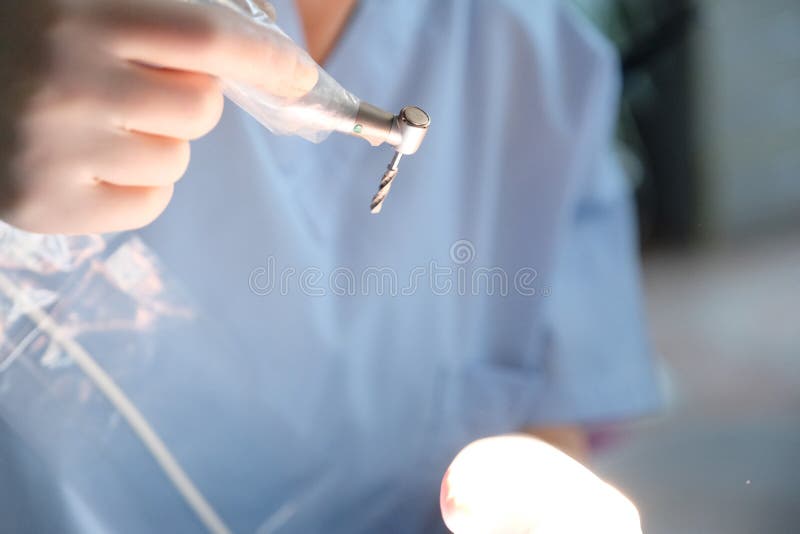 Hands of a Dental Surgeon in Protective Gloves Stock Image Image of
