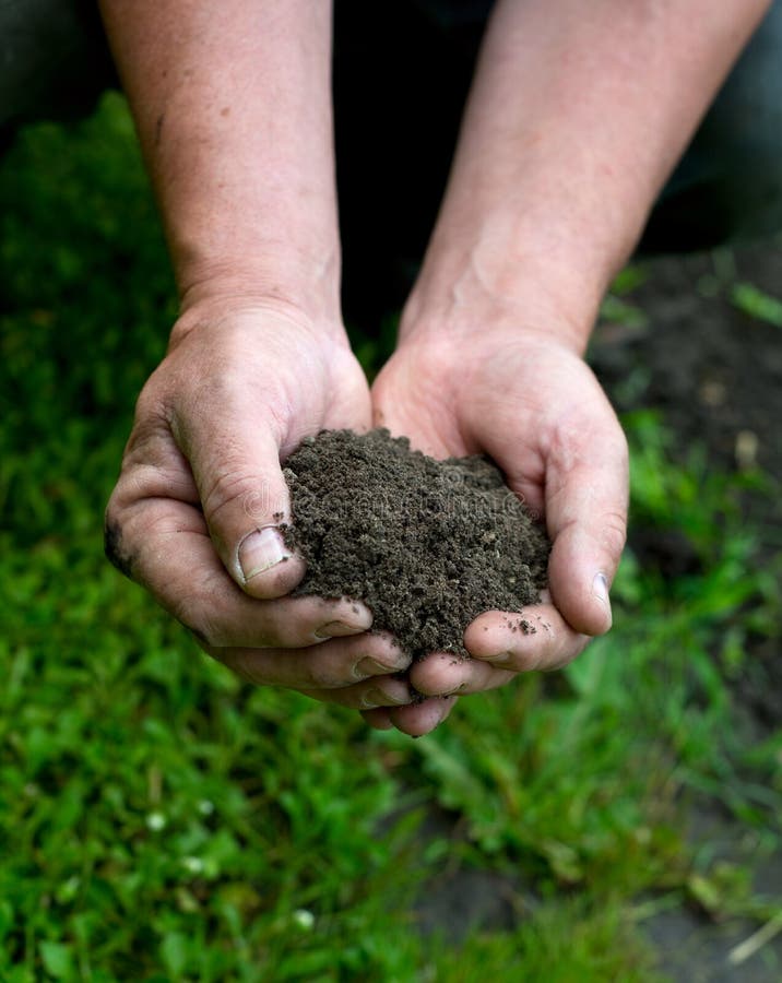 Hands & dirt stock image. Image of horizontal, holding 33160903