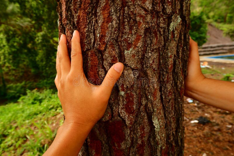 The Financial Motivations Behind the Hype