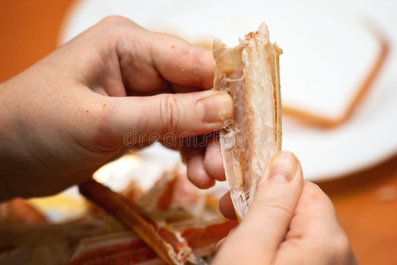 Hands extracting meat from large crab leg perfect for seafood cooking tutorials and culinary photography imagem de stock