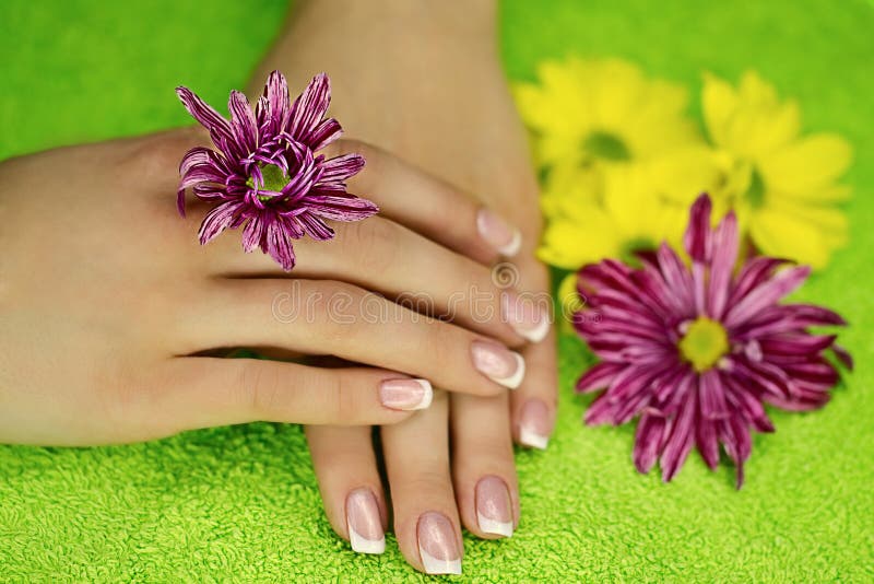 Hand and flower stock image. Image of fresh, clean, medicine 1376445