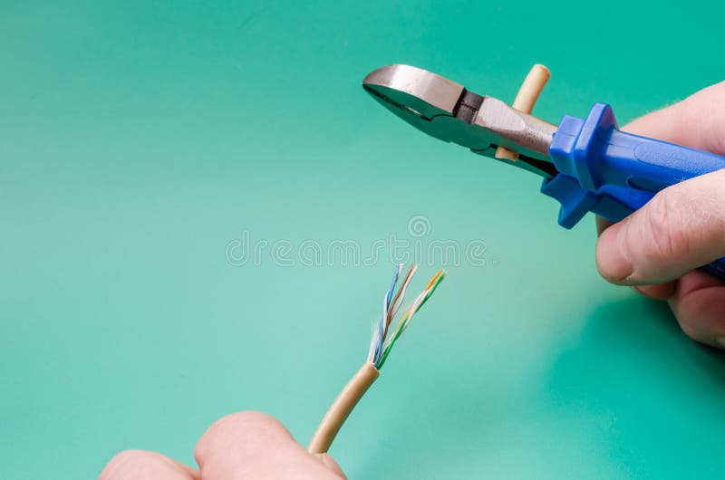 Hands Hold Wire Cutters and LAN Cable Stock Image Image of cable
