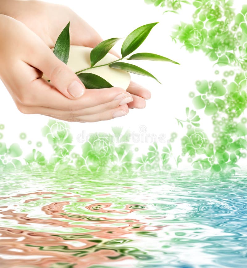 Hands Holding a Bar of Soap Stock Image Image of aroma, care 4816775