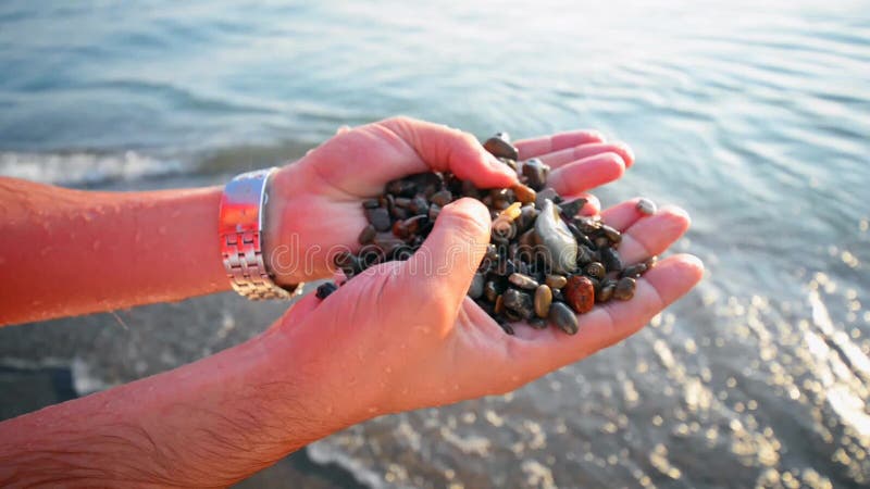 Hands holding beach rocks stock video footage