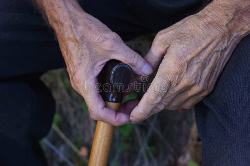 Senior Man Holding Cane Sitting Grass Park Stock Photos - Free ...