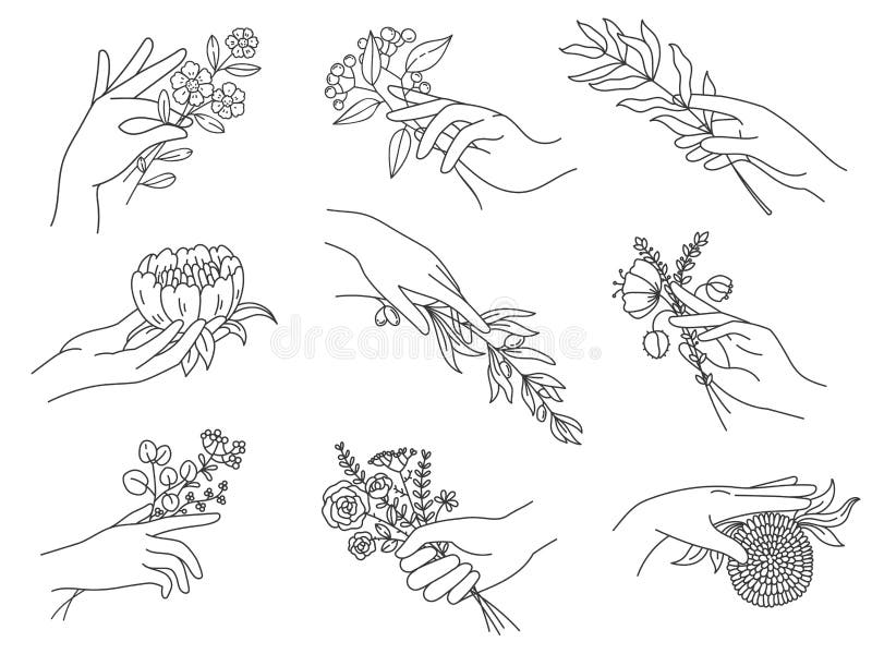 Featured image of post Line Drawing Hand Holding Flowers Vector hand drawn engraved flor