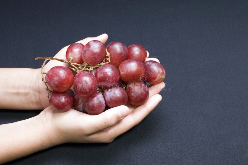 Hands holding grapes stock image. Image of studio, healthy 40515349