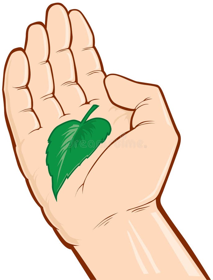 Hands Holding Sapling in Soil Stock Vector Illustration of leaf