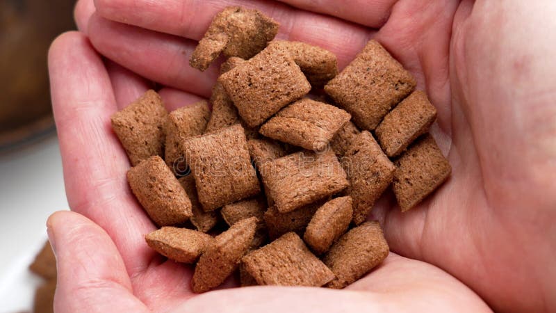 Hands holding a handful of crispy chocolate-flavored cereal bites stock video
