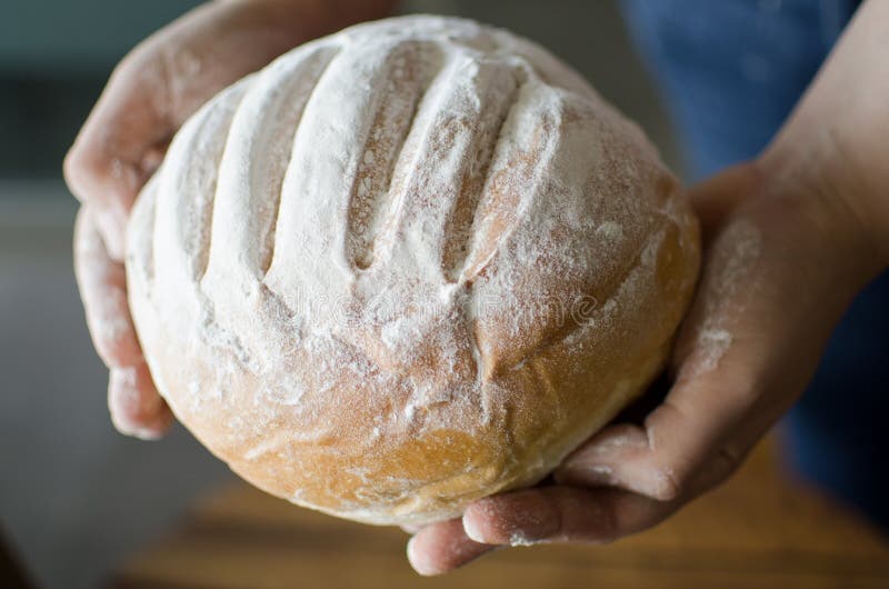 Woman hands holding bread stock photo. Image of levain 30034358