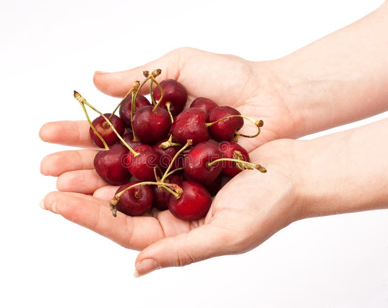 Hands holding red cherry