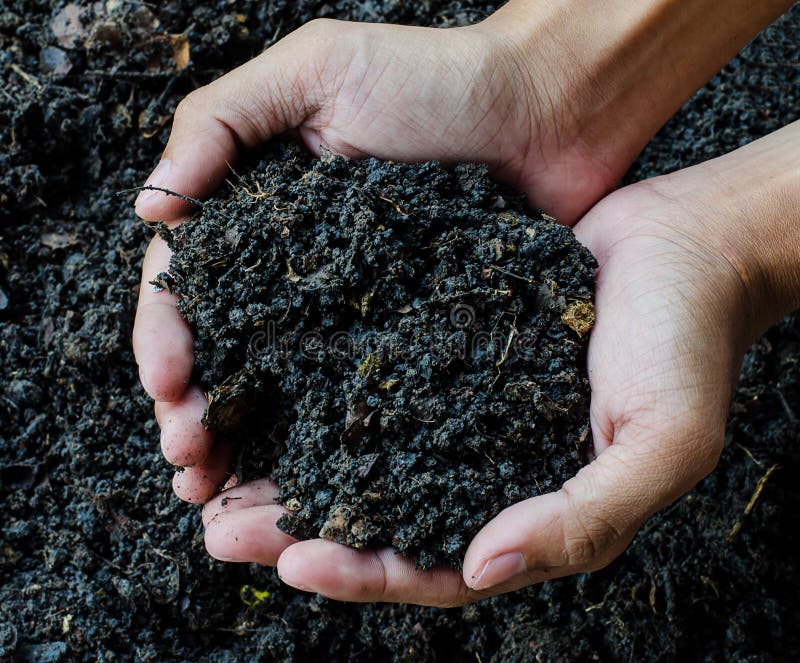 Hands holding soil, Organic fertilizer