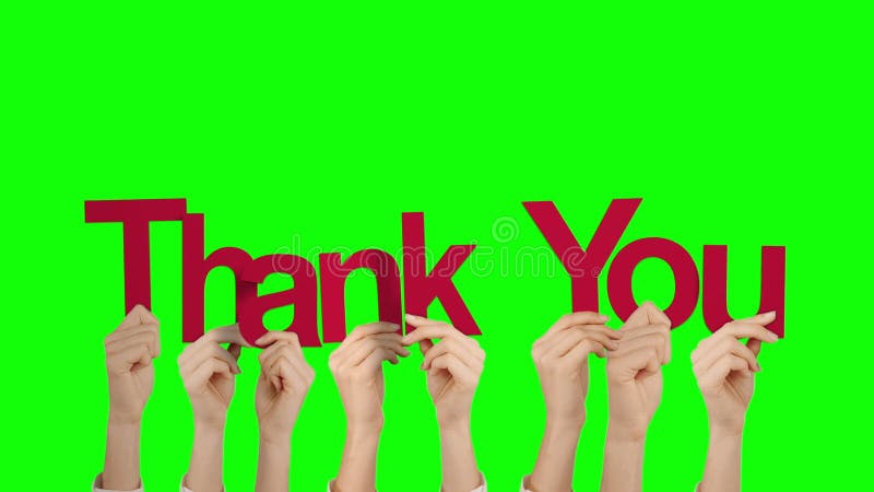 Hands holding up thank you stock video footage