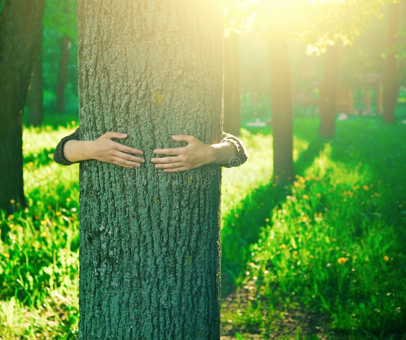 Hands hugging trunk of tree