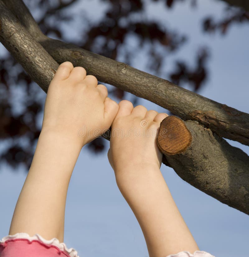 Hands of little girl on the tree