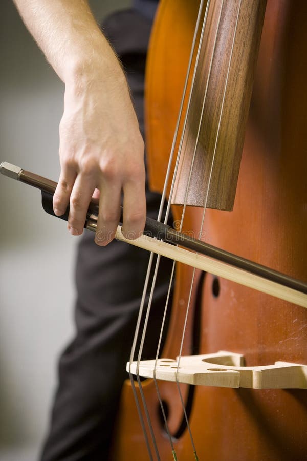 Hands of man playing the bass stock image