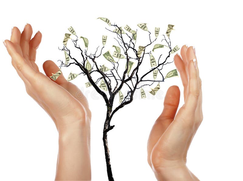 Hands and Money Tree