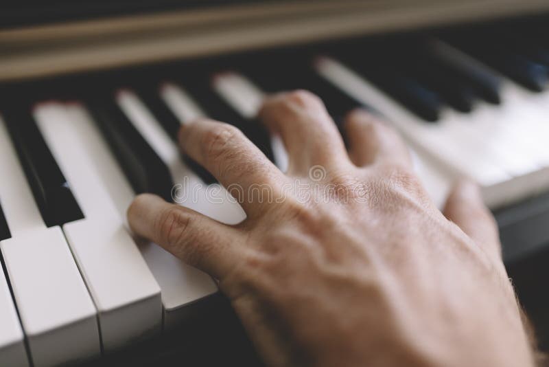 Hands and piano player stock photo. Image of harmony, activity 5536464