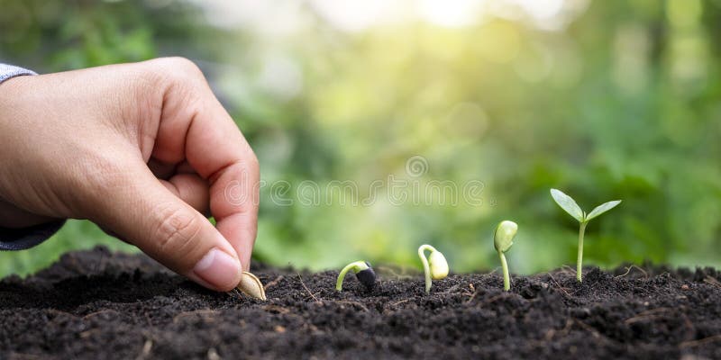 Sowing Seeds