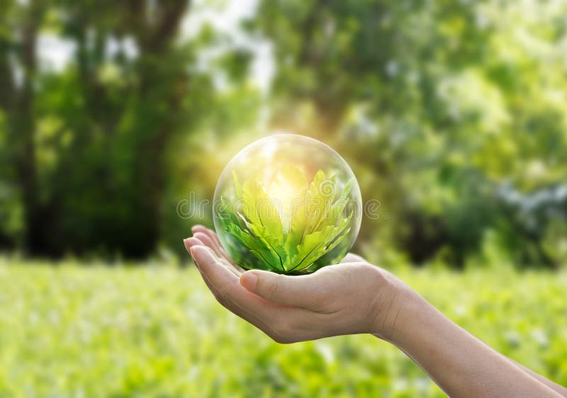 Hands protecting globe of green tree on tropical nature summer background