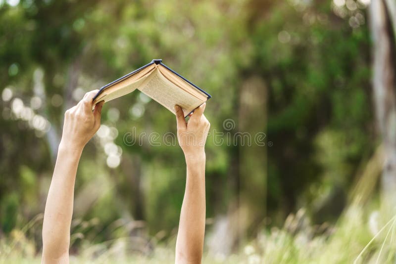 Hands raising a book up to read