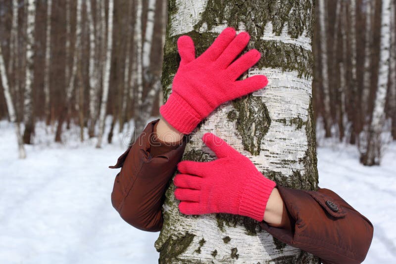 Two Hands in Red Gloves Against Sky Stock Photo Image of peace, signal 9493734