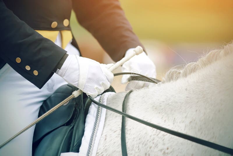 The hands of a rider who rides a white horse stock photos The hands of a rider who rides a white horse stock photos