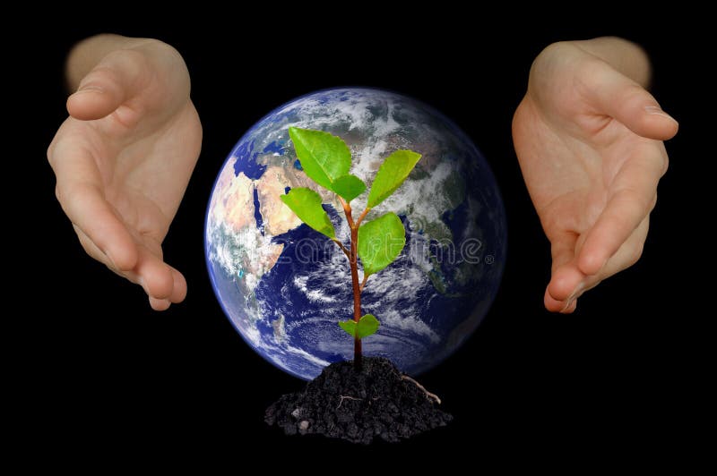 Hands shielding young tree and Earth