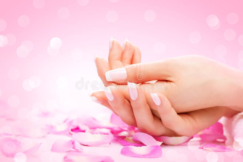 Hands spa. Manicured female hands stock image Hands spa. Manicured female hands stock image