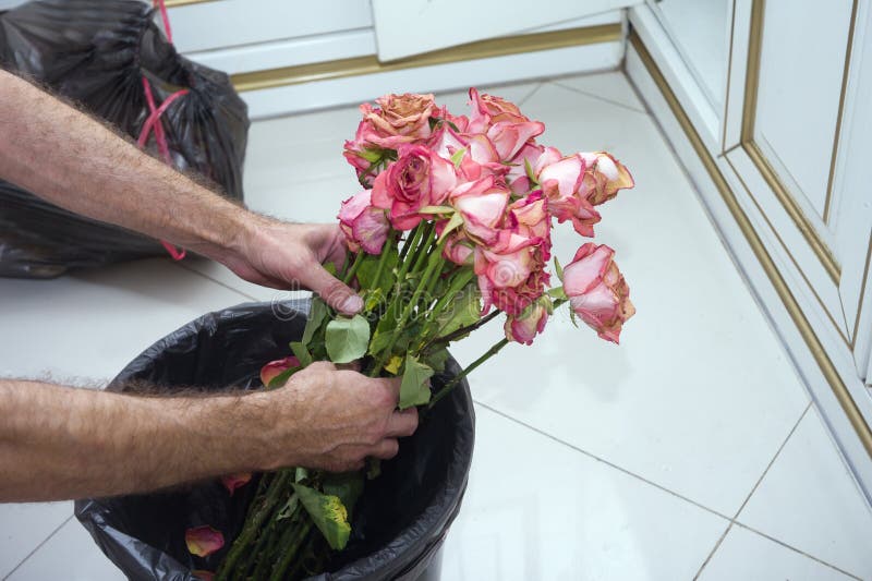 Hands Throwing a Rose Bouquet Stock Image Image of concept