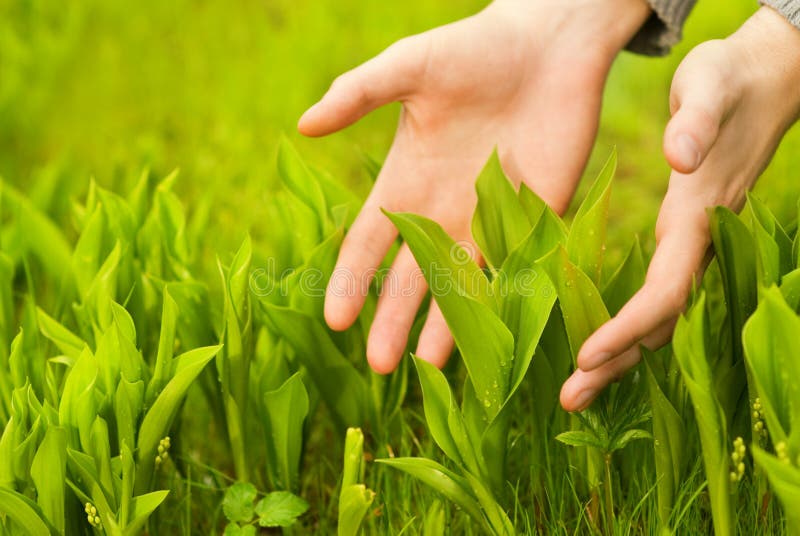 Hand touching grass hi-res stock photography and images - Alamy