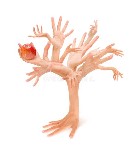 276 Women Small Naked Breasts Stock Photos - Free & Royalty-Free Stock