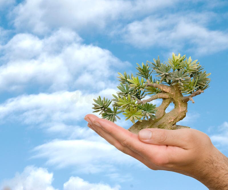 Hands with tree