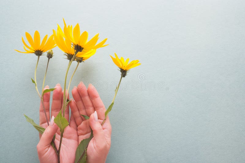 Hands Old Woman Holding Daisy Flowers Concept Longevity Seniors Day Stock  Photo by ©Tata_Go 393476926