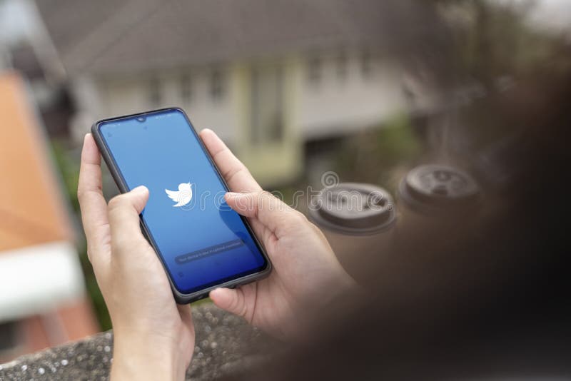 Hands of woman using smartphone with social media application of twitter