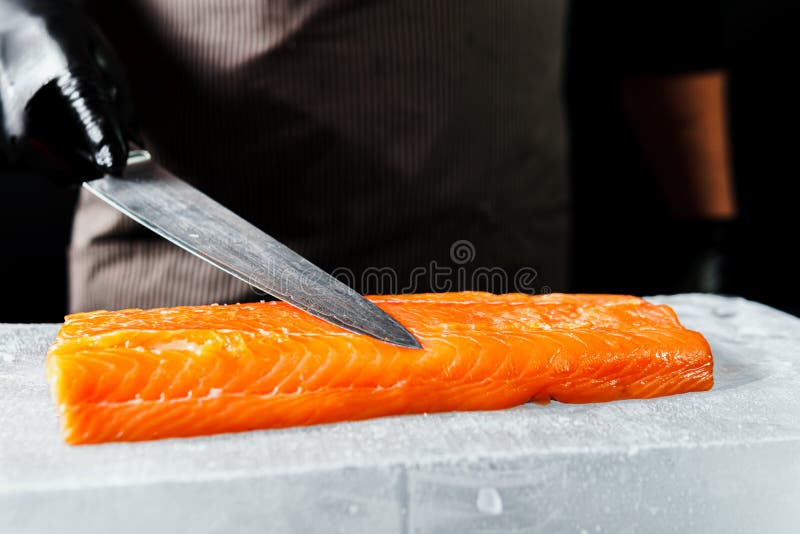 Handschließung, zubereitet zum Kochen von frischem Lachsfilet, schwarzer Hintergrund lizenzfreies stockbild