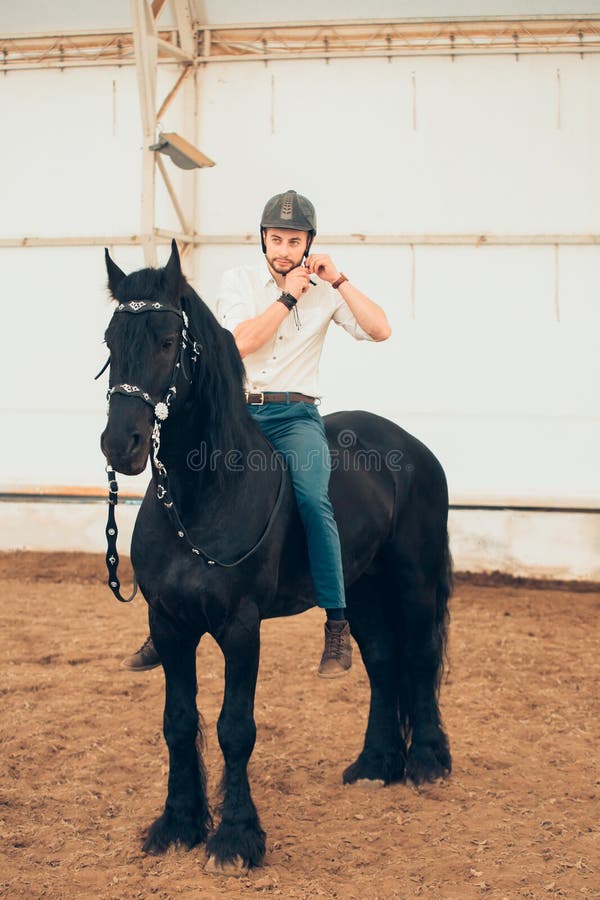 Man in a Shirt Riding on a Brown Horse Stock Image Image of fashion