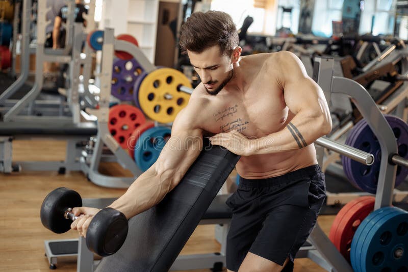 Handsome muscular athletic young man bodybuilder fitness model exercise biceps with dumbbell on the bench in gym. royalty free stock photos Handsome muscular athletic young man bodybuilder fitness model exercise biceps with dumbbell on the bench in gym. royalty free stock photos