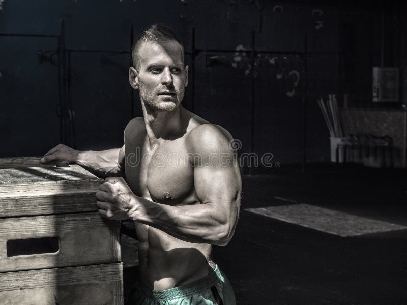 Handsome Shirtless Muscular Man Posing in Gym Stock Image - Image