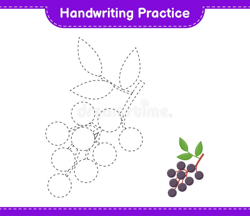 Handwriting practice. Tracing lines of Elderberry. Educational children game, printable worksheet, vector illustration stock illustration