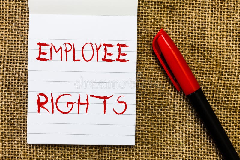 How Do I Understand My Rights As An Employee